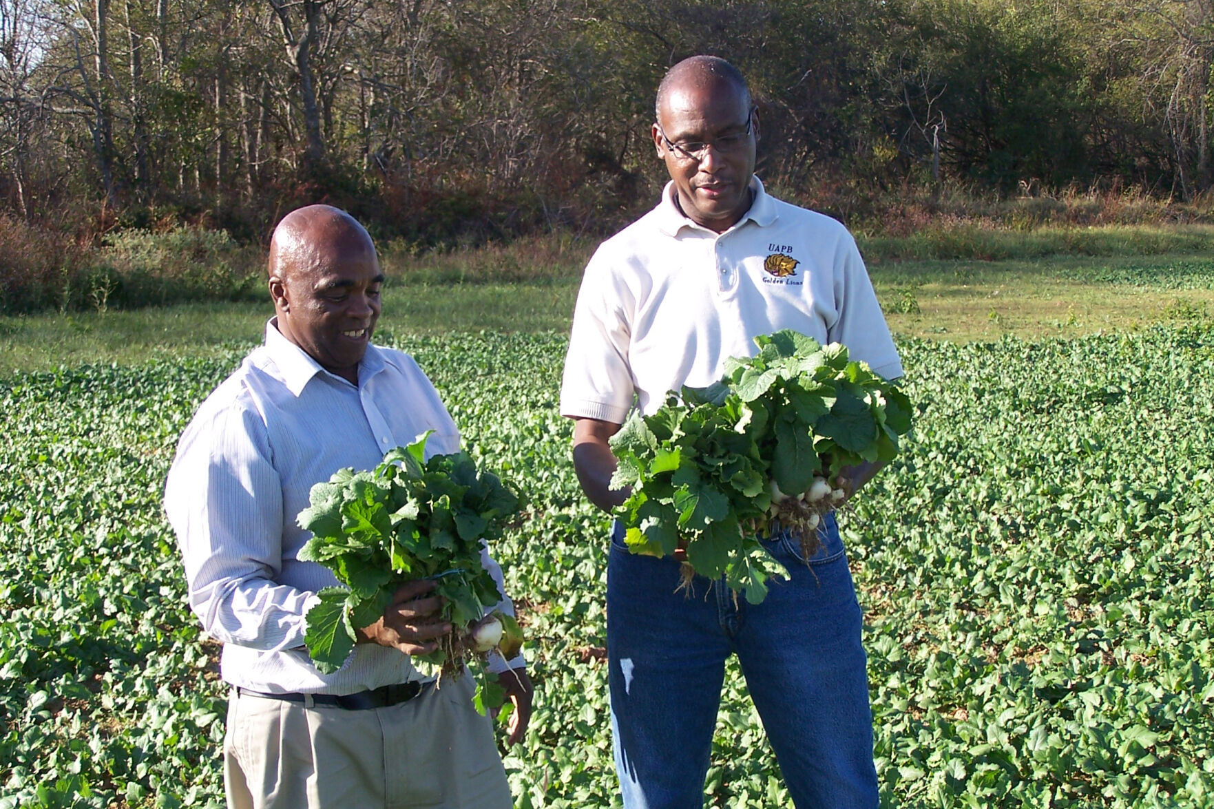 Plant Greens
